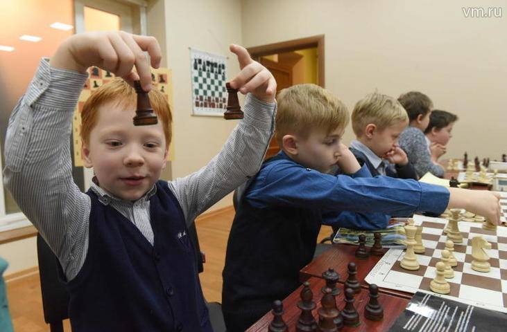 Шахматный павильон появится в усадьбе «Люблино»