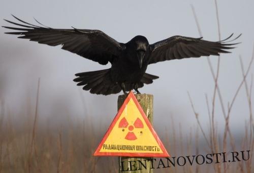 Взрыв в Нёноксе: радиоактивное послевкусие