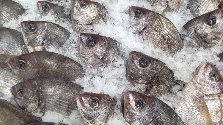 Совет Федерации обсудит с РЖД возможность ускорить доставку рыбы с Дальнего Востока