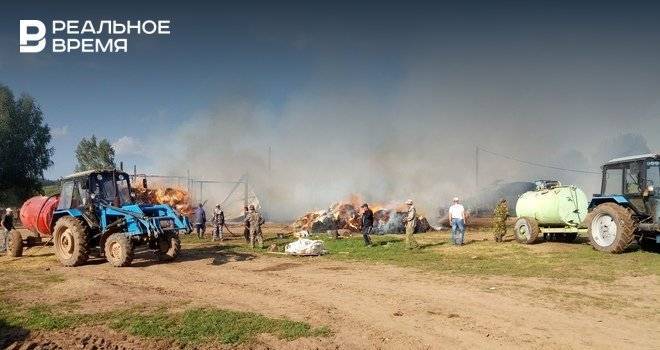В Агрызском районе Татарстана спасли от пожара 60 телят и быков