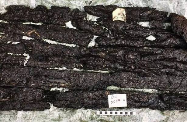 Британские археологи предположили, что нашли фрагменты старейшей корабельной верфи