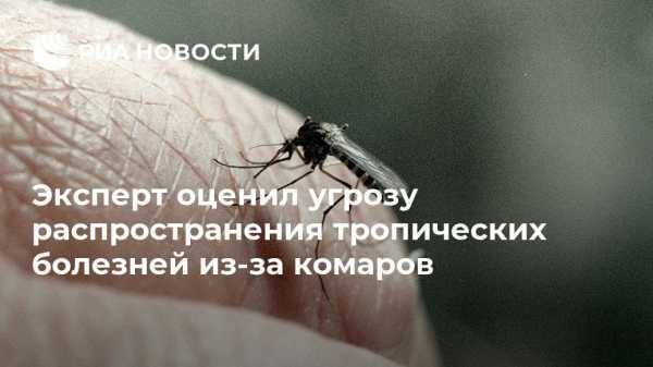 Эксперт оценил угрозу распространения тропических болезней из-за комаров