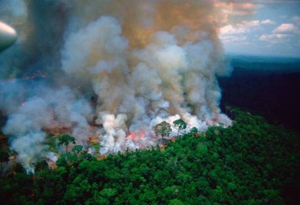 «Большая семерка» должна обсудить пожары в Амазонии — Макрон