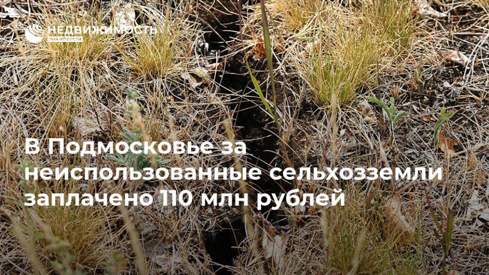 В Подмосковье за неиспользованные сельхозземли заплатили более 110 млн руб