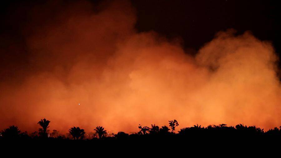 Прокуратура Бразилии начала расследование пожаров в Амазонии
