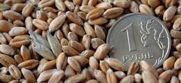 Мосбиржа приостановила торги зерном после хищений на 2,4 млрд рублей