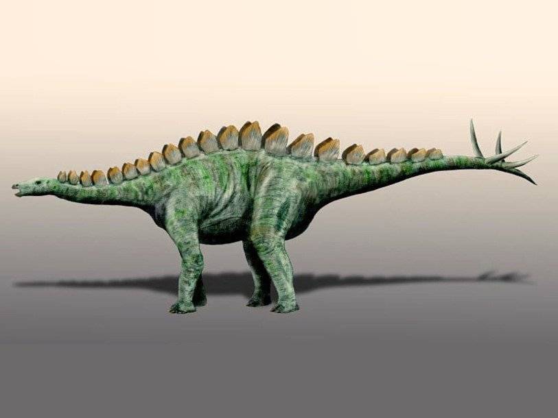 Марроканский стегозавр отнял у китайского сородича титул древнейшего представителя своей группы