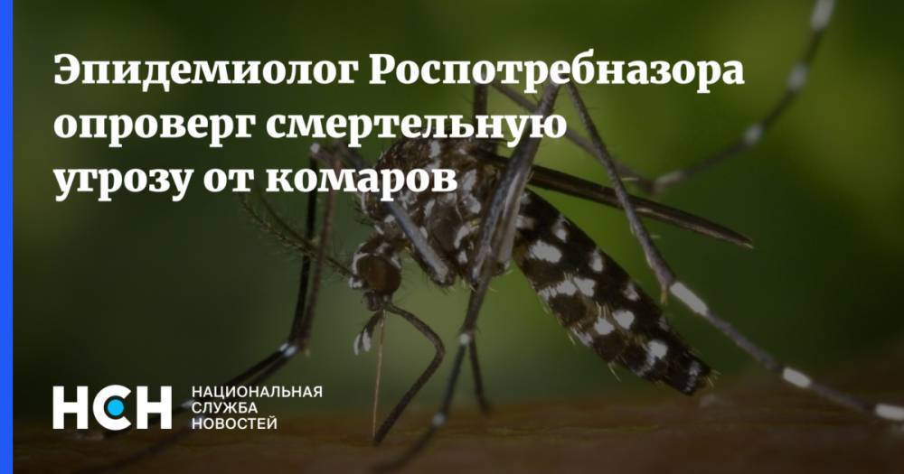 Эпидемиолог Роспотребназора опроверг смертельную угрозу от комаров