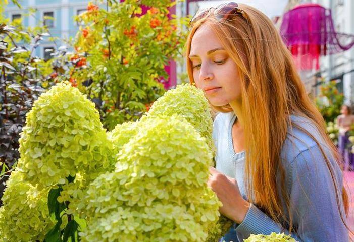 Сады фестиваля «Цветочный джем» будут радовать москвичей до середины октября