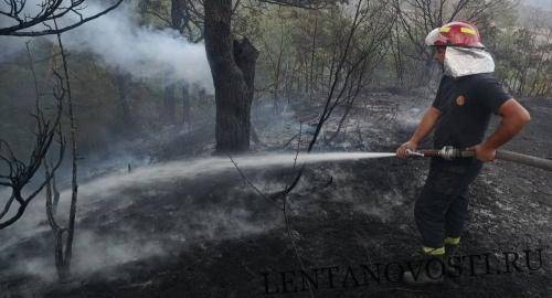 Лесной пожар в Грузии тушат при помощи вертолетов
