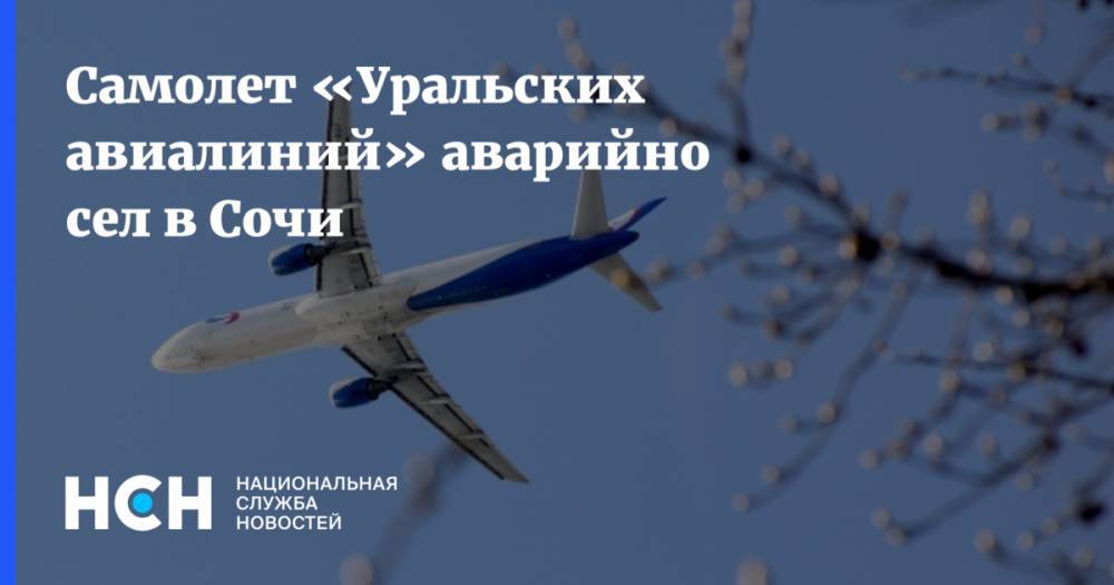 Самолет «Уральских авиалиний» аварийно сел в Сочи