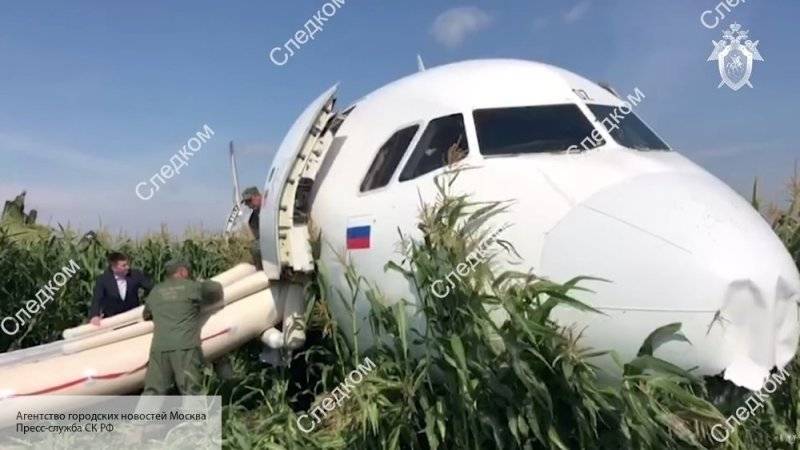 Эксперт назвал новую причину жесткой посадки самолета А321 в кукурузном поле