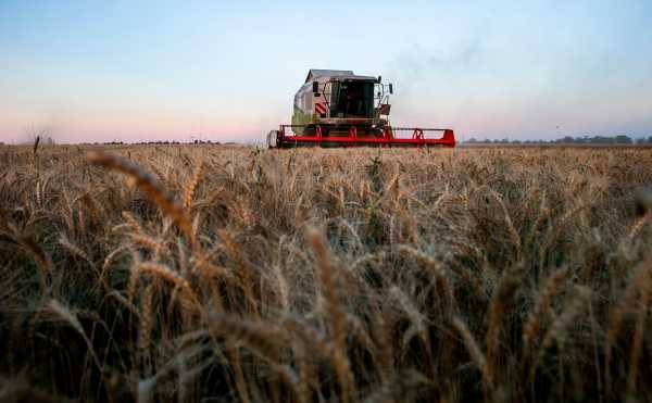 ВТБ попросил у Путина помощи в создании российского зернового лидера
