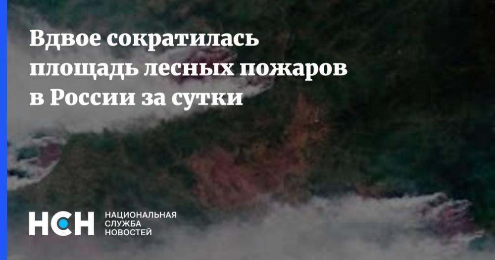 Вдвое сократилась площадь лесных пожаров в России за сутки