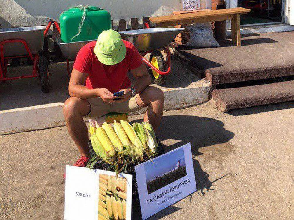 «Самолетная кукуруза»: саратовец продает по 500 рублей за «целебный эффект»