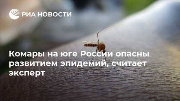 Комары на юге России опасны развитием эпидемий, считает эксперт