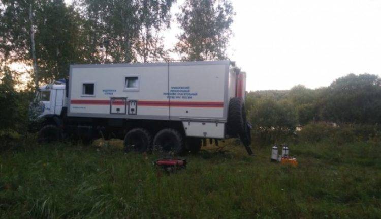В районе поиска пропавшей под Нижним Новгородом девочки заметили медведя