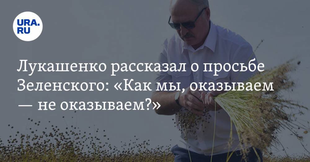 Лукашенко рассказал о просьбе Зеленского: «Как мы, оказываем — не оказываем?» — URA.RU