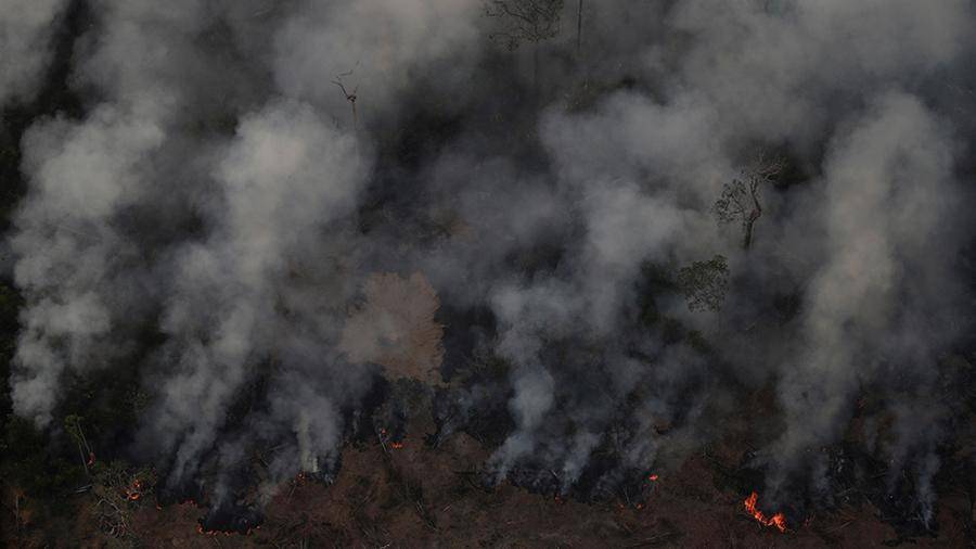 Власти Бразилии направят военных на борьбу с пожарами в Амазонии