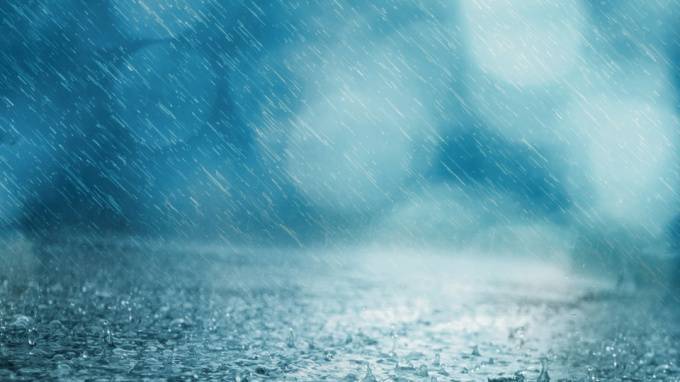 МЧС предупреждает о сильном дожде и ветре в Ленобласти&nbsp;
