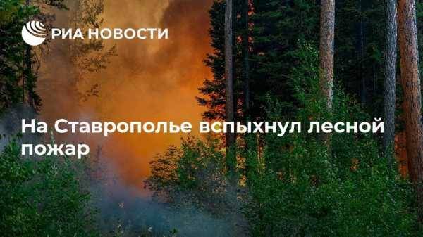 На Ставрополье вспыхнул лесной пожар