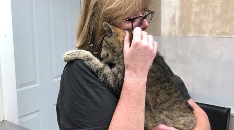 Трогательная встреча: кот, потерявшийся 11 лет назад, нашелся и вернулся к любящей хозяйке (фото)