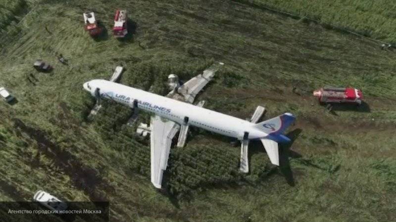 Аварийно севший Airbus A-321 полностью вывезен с кукурузного поля в подмосковном Раменском