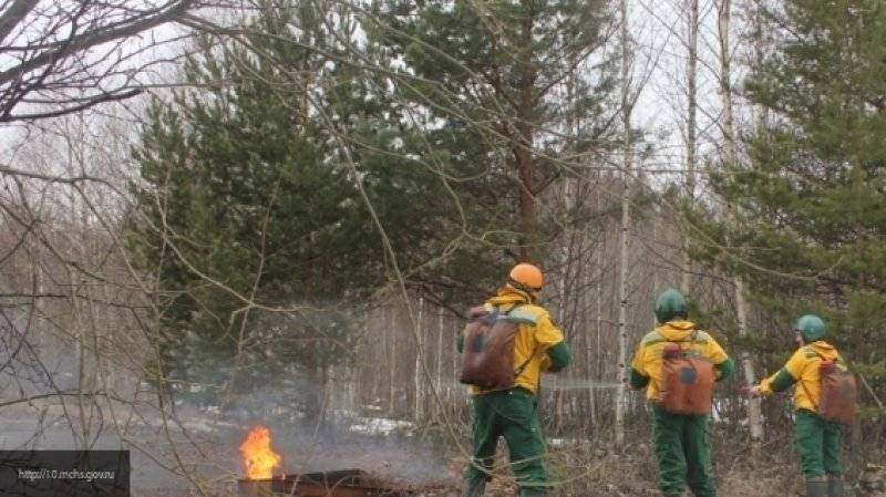 Губернатор Якутии отменил режим ЧС в регионе, введенный из-за лесных пожаров
