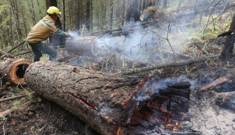 В российских заповедниках потушили последний лесной пожар