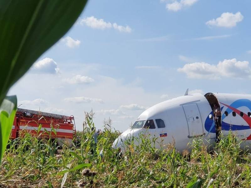 Аварийно севший A321 в Московской области начали резать на части