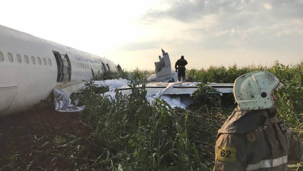 Аварийно севший лайнер А-321 вывезли с кукурузного поля в Подмосковье