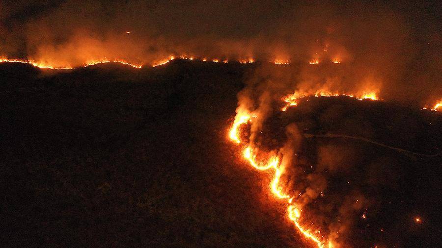 Число лесных пожаров в Бразилии за два дня увеличилось более чем на 1,5 тыс.