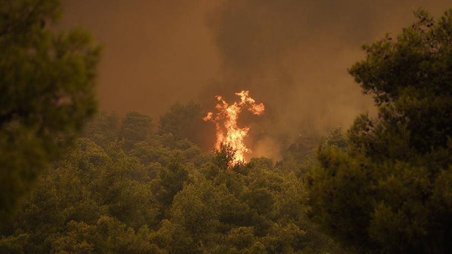 Туристов эвакуировали на греческом острове Самос из-за лесных пожаров