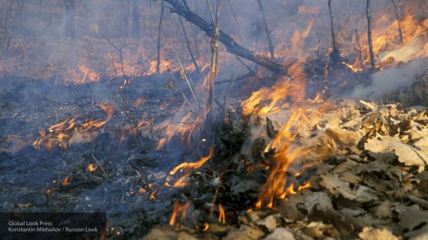 За сутки в Якутии ликвидировали 13 лесных пожаров