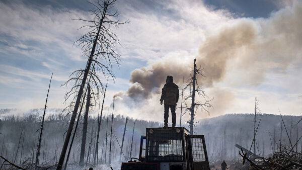 Площадь лесных пожаров в России выросла за сутки&nbsp;— «Авиалесоохрана»