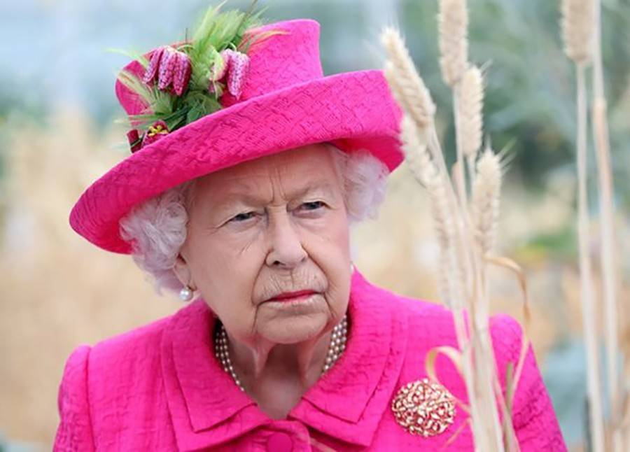 Елизавета II пожаловалась на испорченный Трампом газон