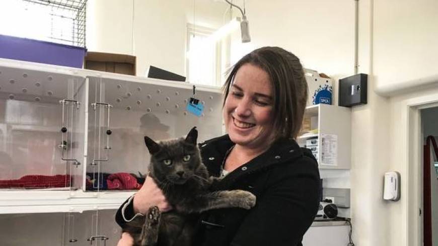 В Новой Зеландии кот ушел погулять на пять лет