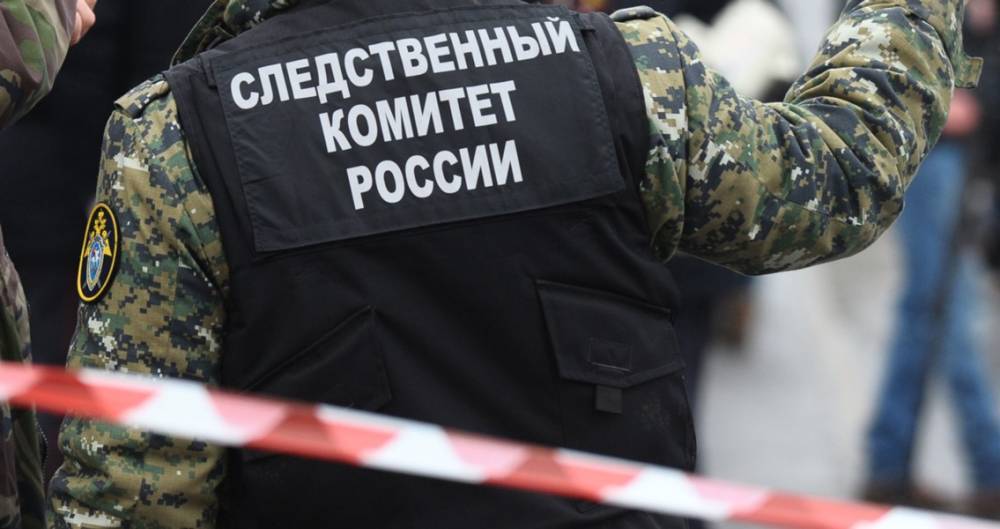 Следователи проверят, почему дверь упала на ребенка в ТЦ в Подмосковье