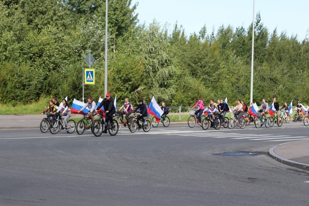 В «Красносельском марафоне» ко Дню флага РФ приняли участие более 250 человек