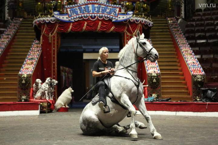 Треть опрошенных россиян сочли Россию лучшей в цирковом искусстве