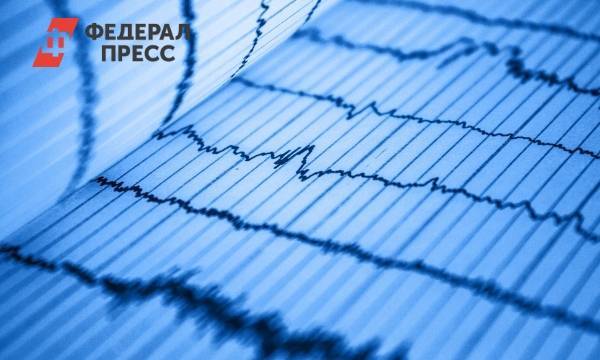 На Северных Курилах за час произошло два землетрясения | Сахалинская область | ФедералПресс