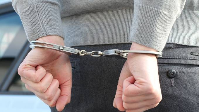 Полиция задержала подозреваемого педофила в Колпинском районе
