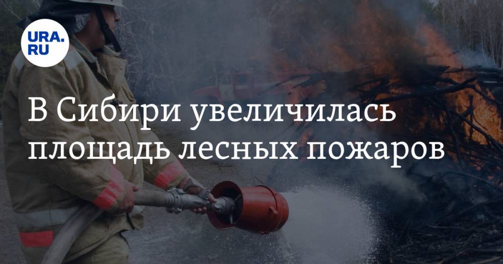 В Сибири увеличилась площадь лесных пожаров — URA.RU