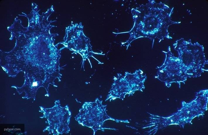 Ученые создали новое лекарство для лечения  рака легких