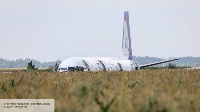 «Уральские авиалинии» выплатили компенсации почти половине пассажиров А321, севшего в поле