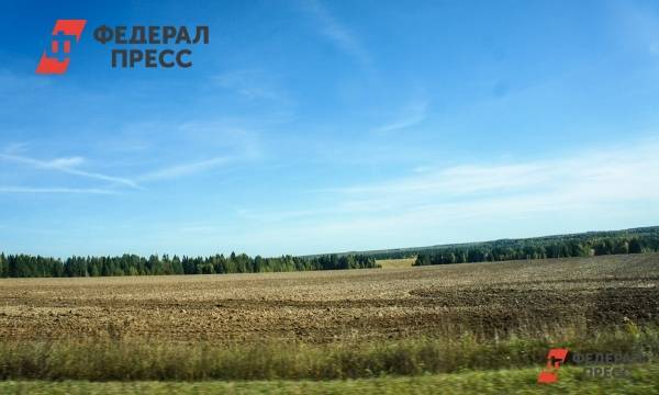 Минсельхоз намерен отобрать у бизнеса почти 5 миллионов гектар неиспользуемых земель | Москва | ФедералПресс