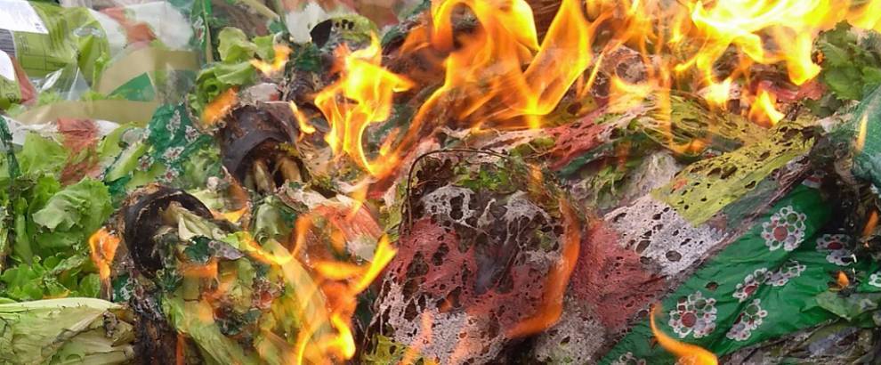 В Удмуртии уничтожена заражённая партия листьев салата