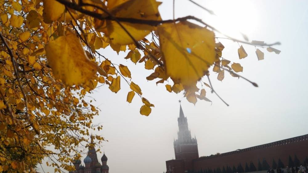 Синоптики предупредили москвичей о значительном похолодании в конце августа
