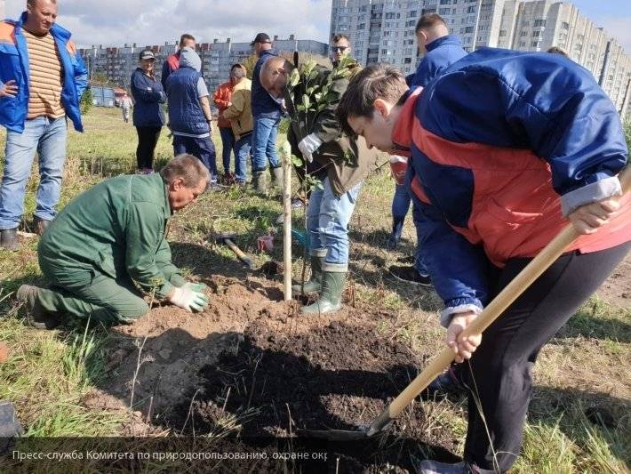 Петербургские депутаты и общественники приняли участие в уборке мусора на Смоленке