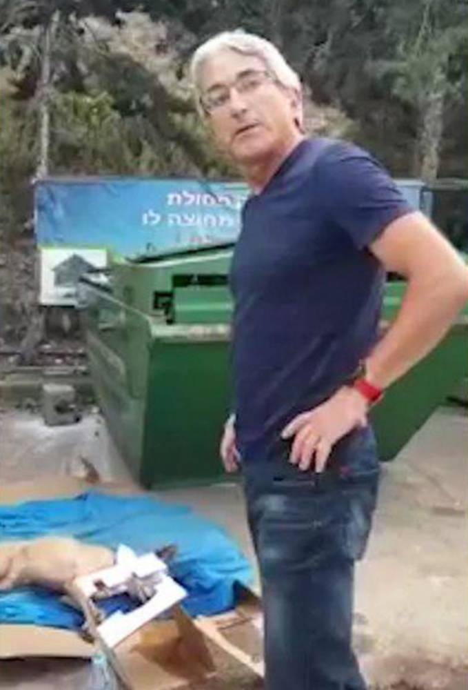 Выбросил умирающую собаку в мусорку: ветеринар пригорода Хайфы отдан под суд